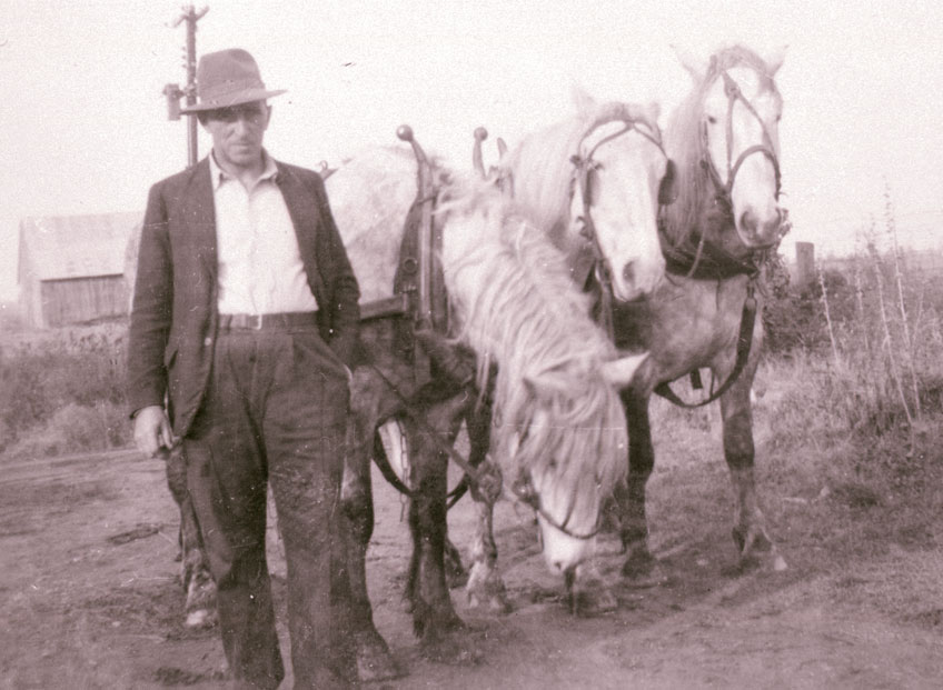 Albert Servais avec un attelage tirant une charrue à deux socs à Limoges (Ontario), 1941. Universit d'Ottawa, CRCCF, [b]Collection Centre culturel « La Ste-Famille »[/b] (C80), Ph83-R123F10. Reproduit de la collection Albert Servais, Limoges (Ontario).